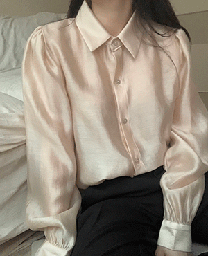 brue blouse (3color)